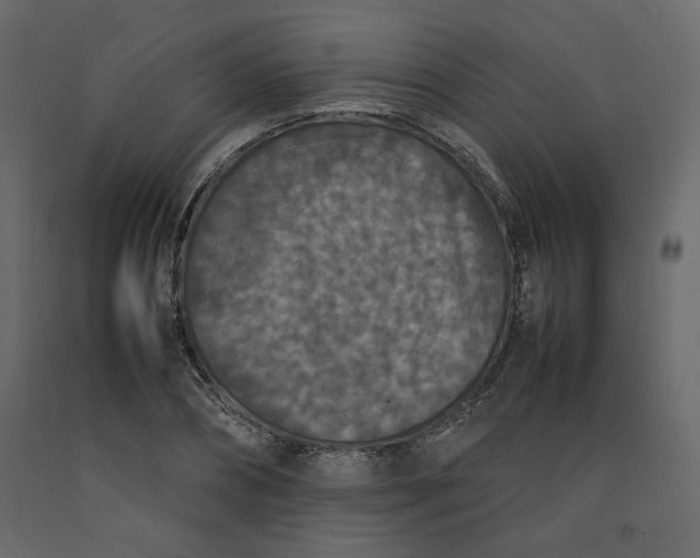 X0000092220882200710051156
