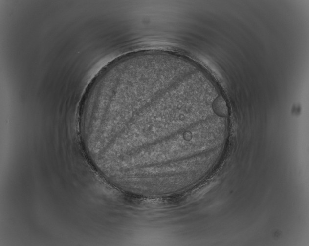 X0000092220883200710051156