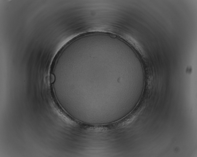 X0000092220884200710051156