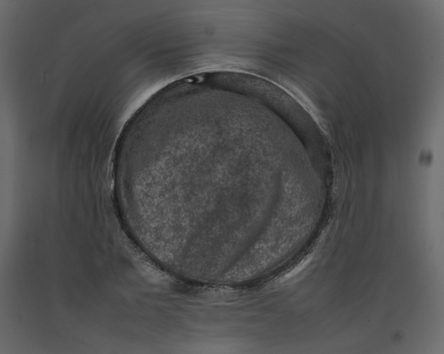 X0000092220885200710051156