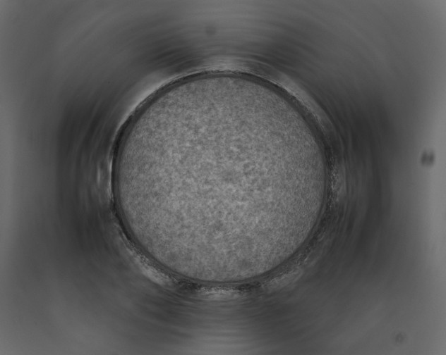 X0000092220886200710051156