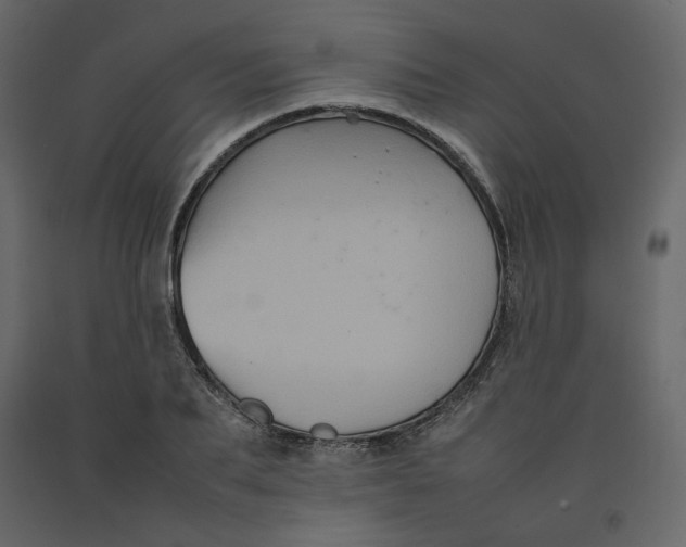 X0000092220887200710051156
