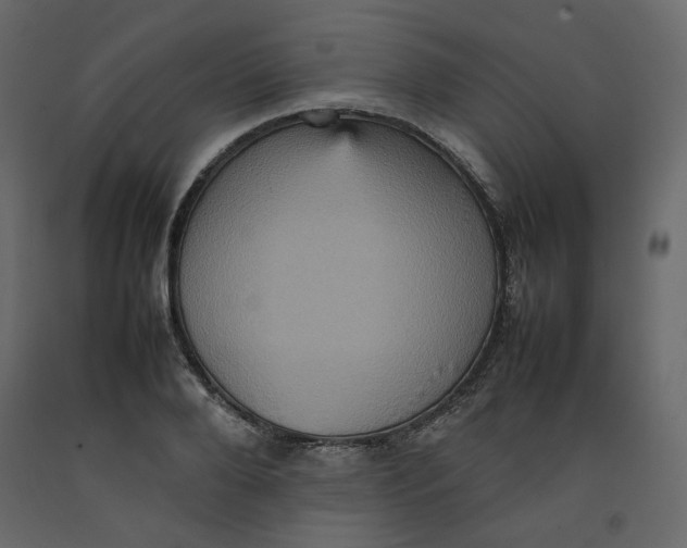 X0000092220888200710051156