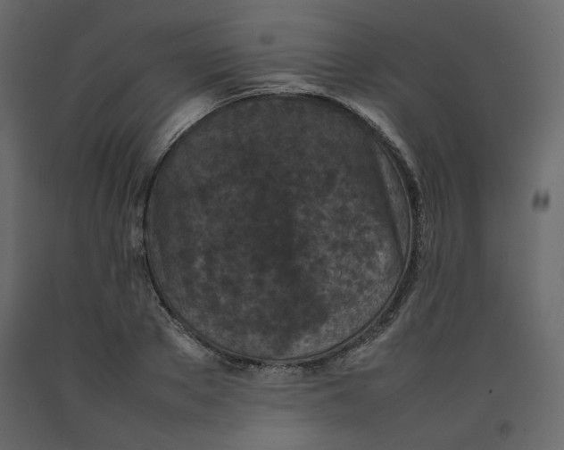 X0000092220889200710051156