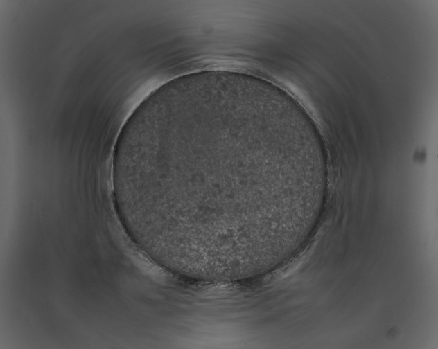 X0000092220891200710051156