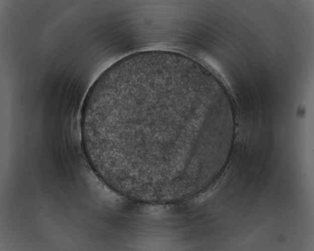 X0000092220892200710051156
