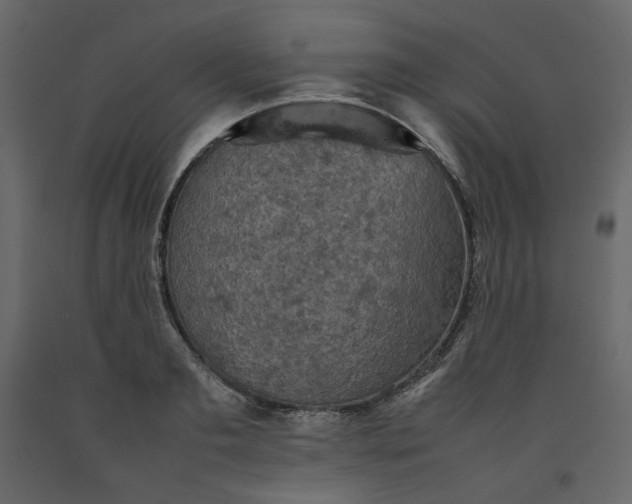 X0000092220893200710051156