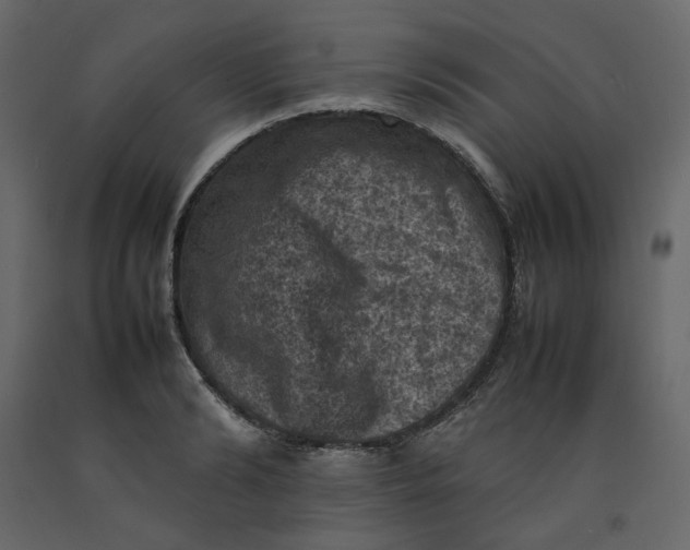 X0000092220894200710051156