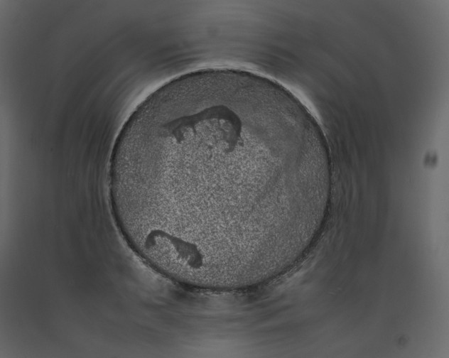 X0000092220895200710051156