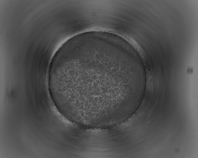 X0000092220896200710051156