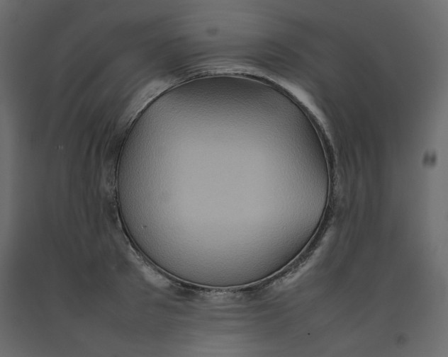 X0000092220897200710051156