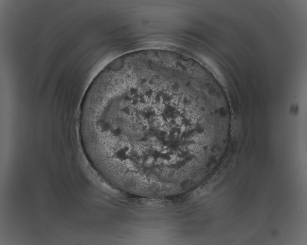 X0000092220899200710051156