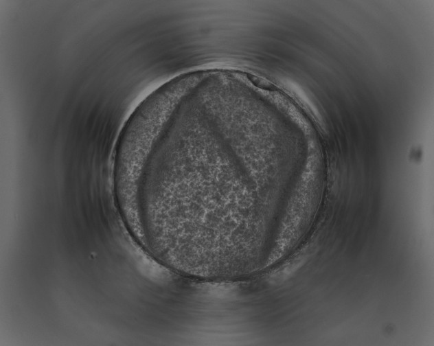 X0000092220900200710051156