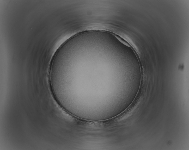 X0000092220901200710051156