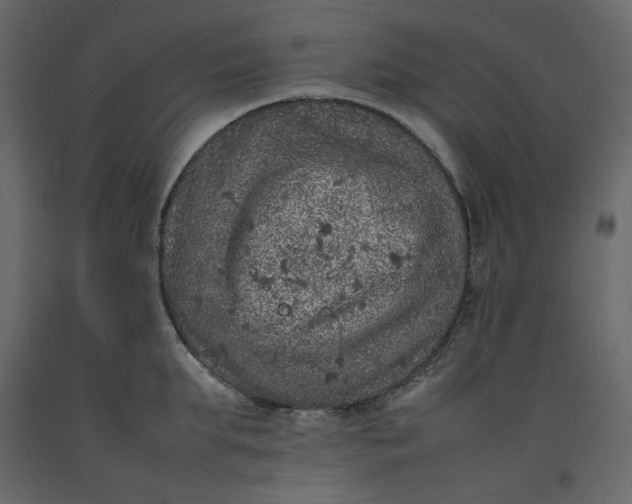 X0000092220903200710051156
