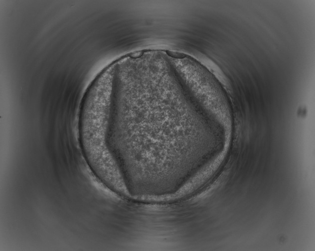 X0000092220904200710051156