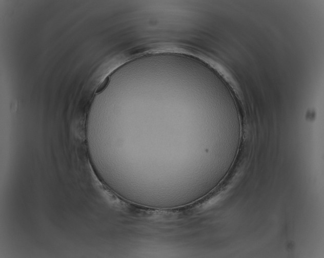 X0000092220905200710051156
