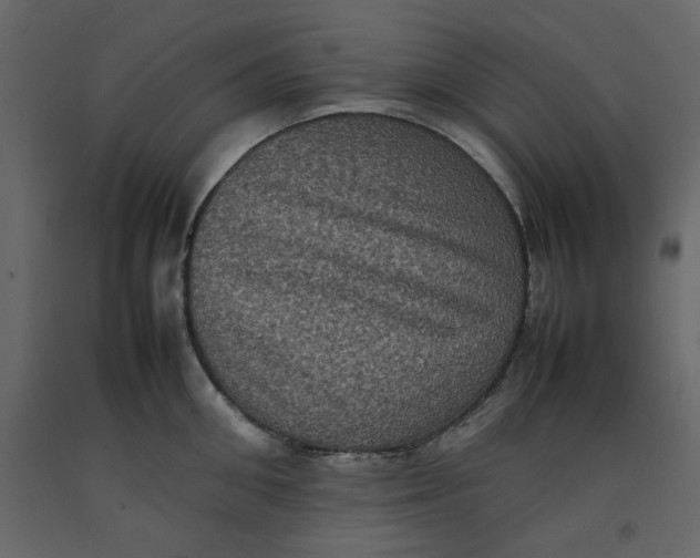 X0000092220906200710051156