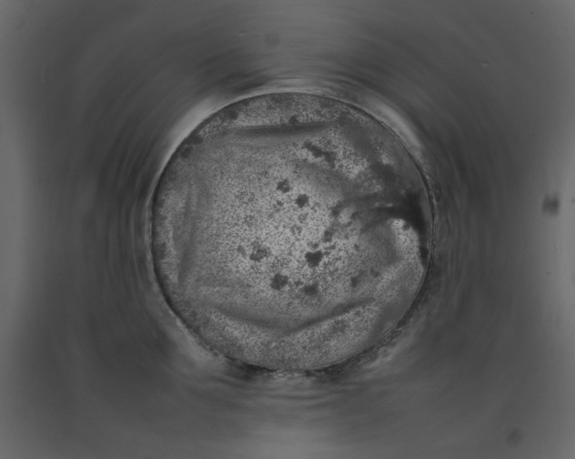 X0000092220907200710051156