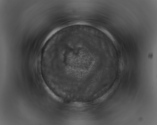 X0000092220910200710051155