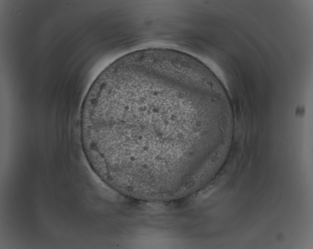 X0000092220911200710051155