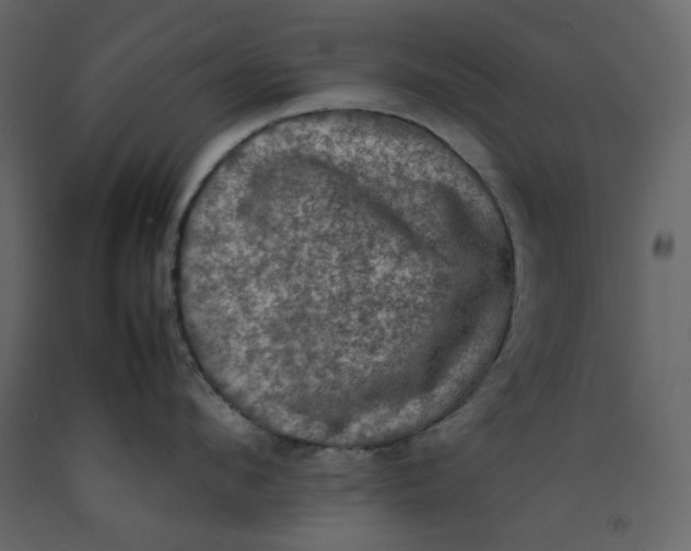 X0000092220912200710051155