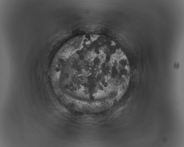 X0000092220913200710051155