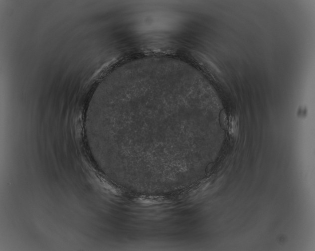 X0000092220915200710051155