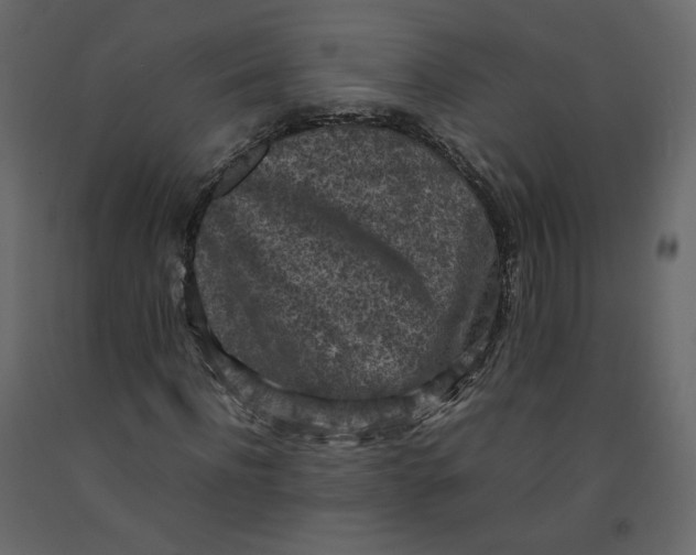 X0000092220916200710051155