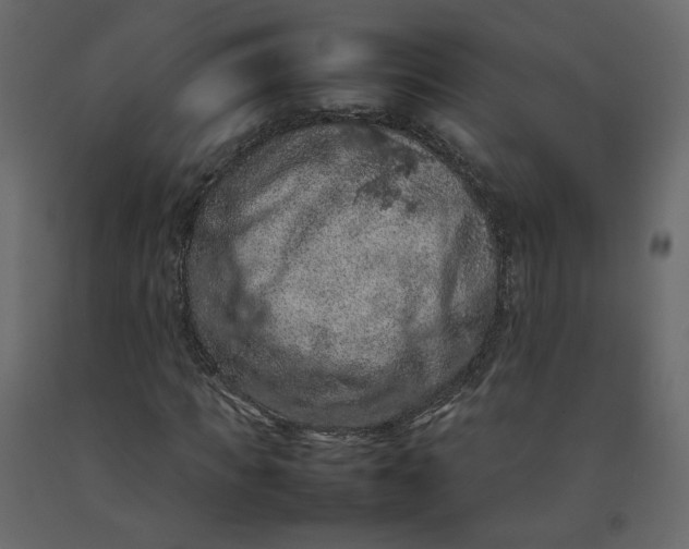 X0000092220917200710051155