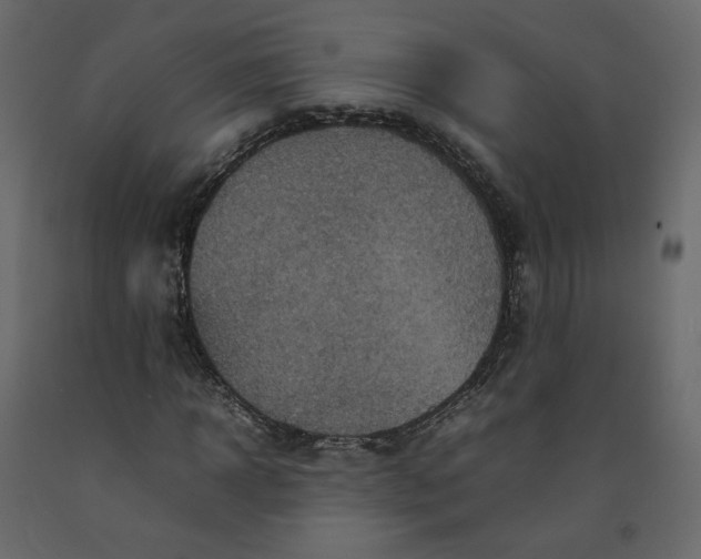 X0000092220918200710051155