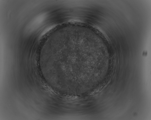 X0000092220919200710051155