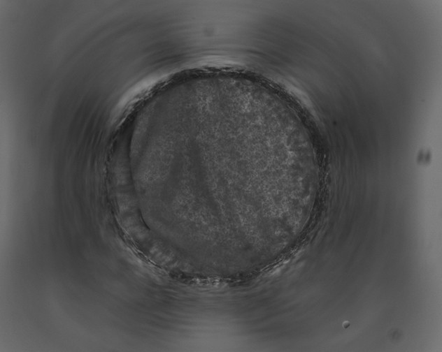 X0000092220920200710051155