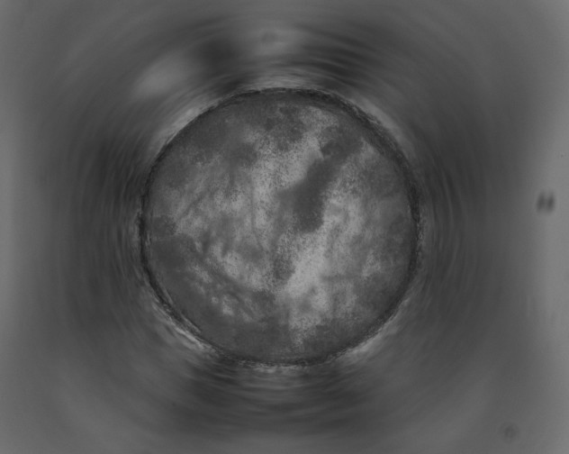 X0000092220921200710051155