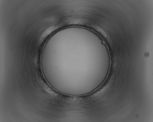 X0000092220922200710051155