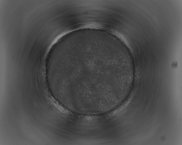 X0000092220923200710051155