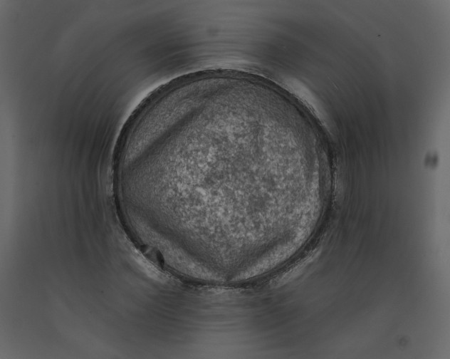 X0000092220924200710051155