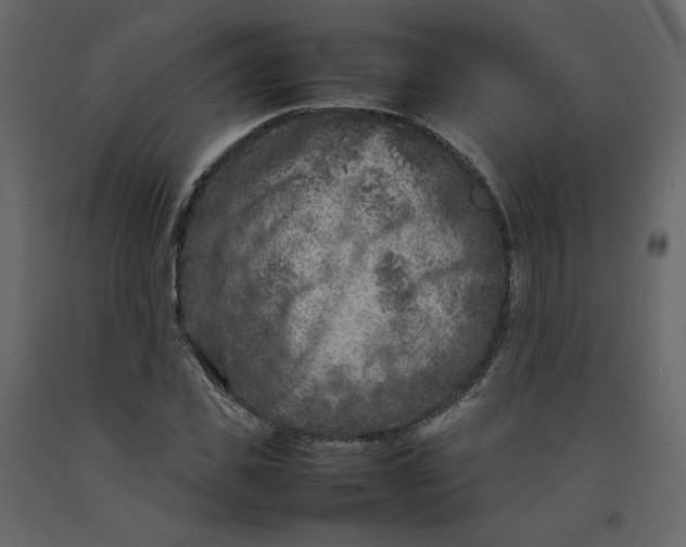 X0000092220925200710051155