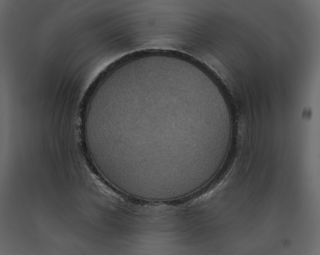 X0000092220926200710051155