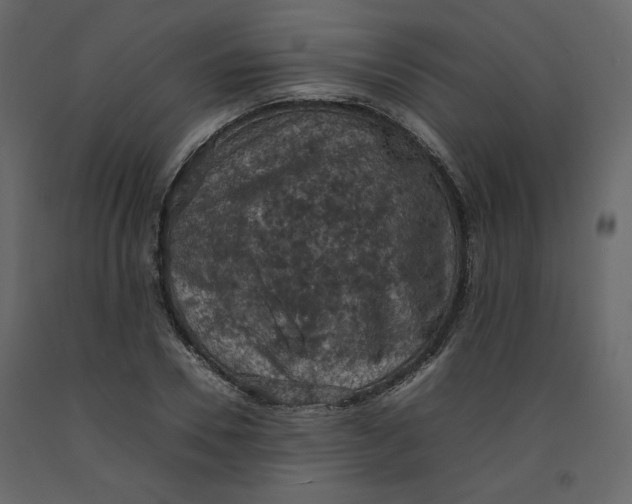 X0000092220930200710051155