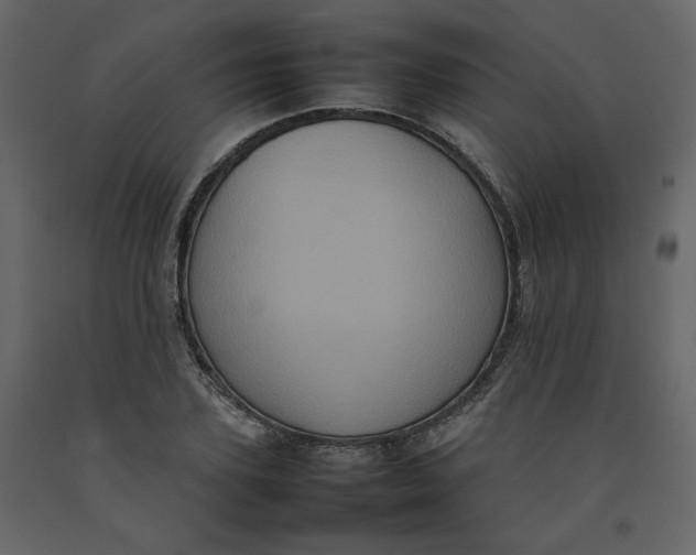 X0000092220931200710051155