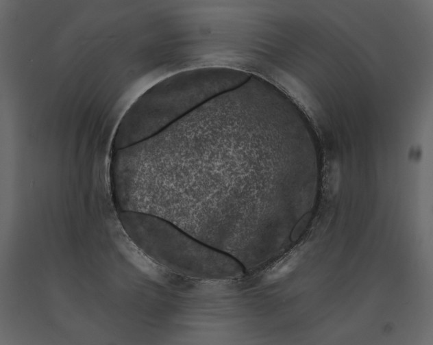 X0000092220932200710051155
