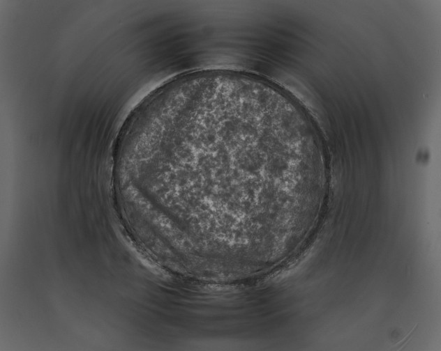 X0000092220933200710051155