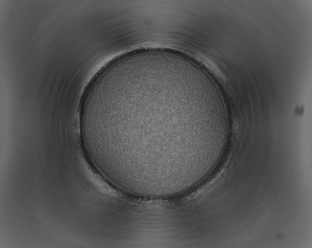 X0000092220934200710051155