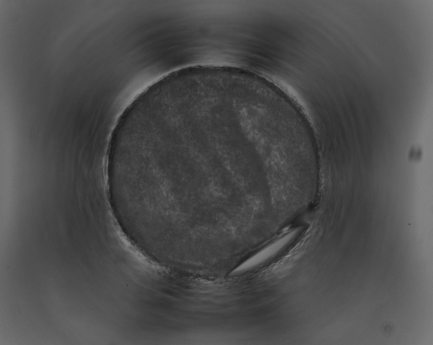 X0000092220935200710051155