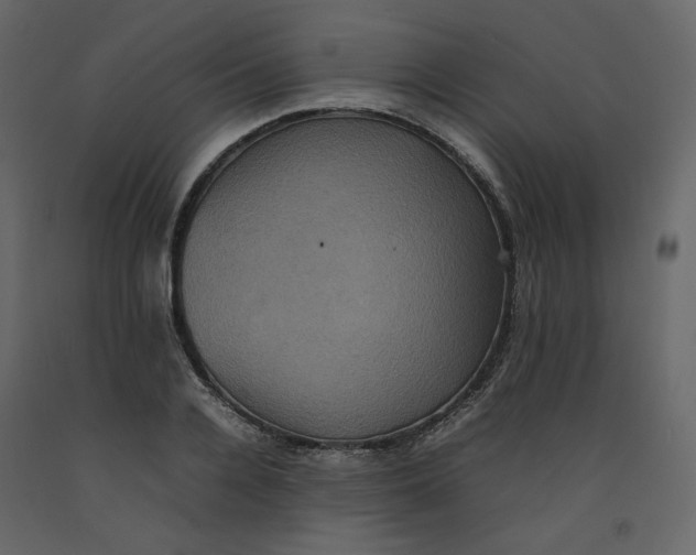 X0000092220936200710051155