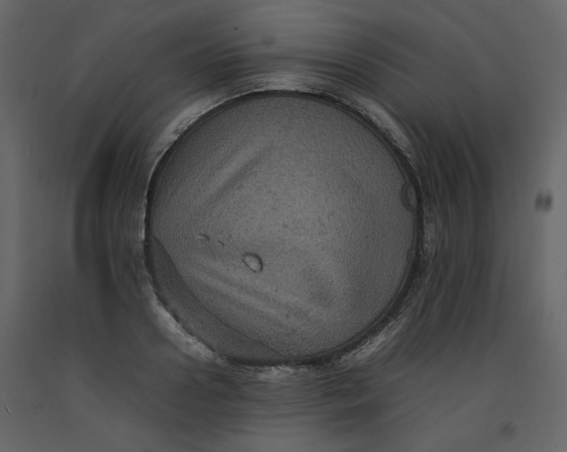 X0000092220938200710051155