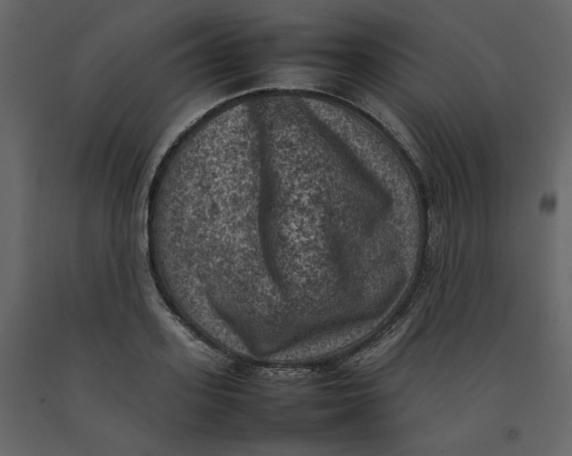 X0000092220939200710051155