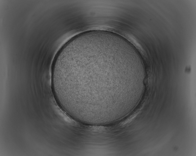 X0000092220940200710051155