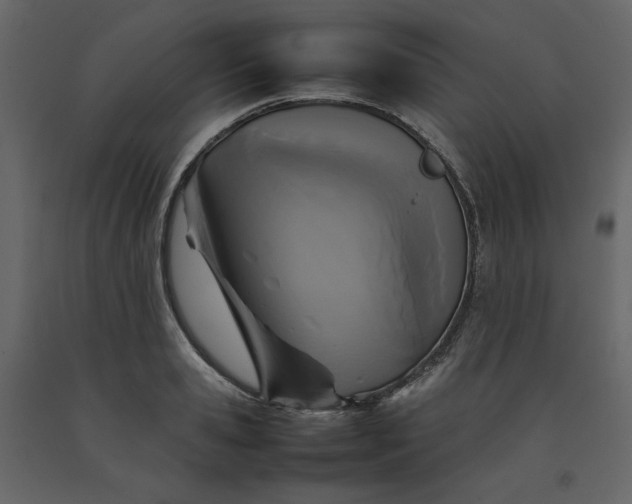 X0000092220941200710051155